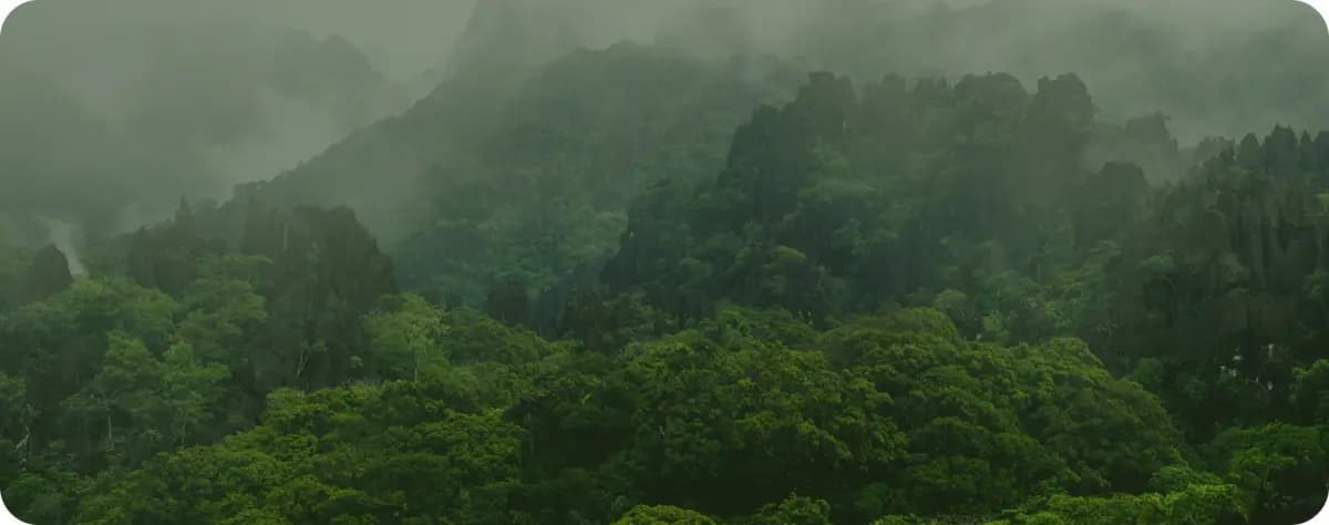 选择纸盒包装,意味着品牌与消费者正在以更可持续的方式包装饮品与食品,同时守护地球环境。